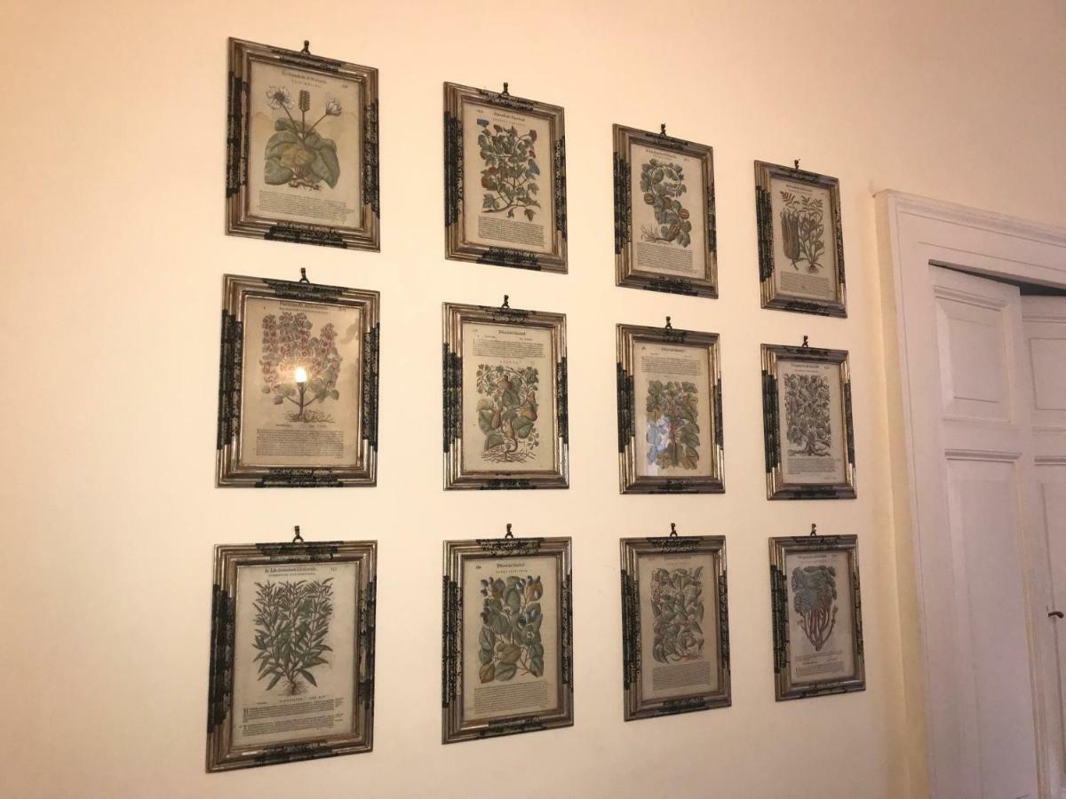 Stylish Apartment In Central Rome "Centro Storico" エクステリア 写真